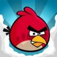 Angry bird rio
